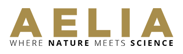 AELIA Logo Black Tag